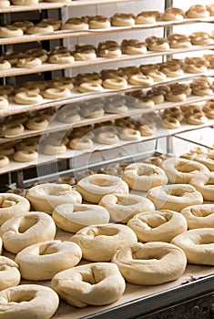 Dough donuts for frisella in bakery