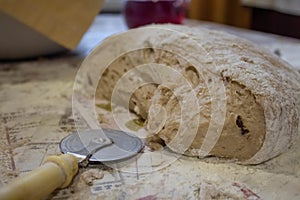 Dough on natural rye ferment. With bran. Alive. Natural. Without yeast. The concept of a healthy diet.