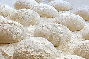 Dough for pizza or bread photo