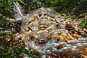 View of Douglas Falls, West Virginia