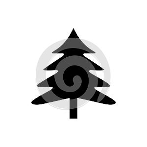 Douglas fir icon