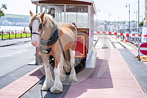 Douglas, Isle of Man, June 16, 2019. The Douglas Bay Horse Tramway on the Isle of Man runs along the seafront promenade