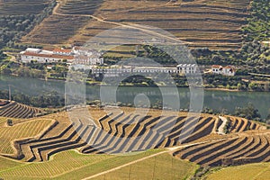 Douro valley from Casal de Loivos viewpoint photo