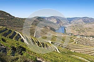 Douro region