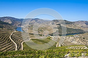 Douro region