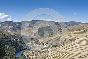 Douro region