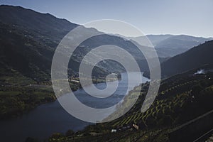 The Douro River in the early morning in the Douro Valley, northern Portugal.