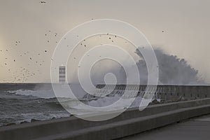 Stormy wave splash at dusk