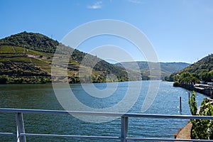 Douro River Pinhao