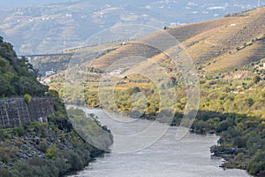 Douro river valley in Portugal. Miradouro Sebolido