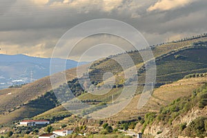 Douro river valley in Portugal. Miradouro Sebolido