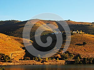 Douro river vineyards porto wine Portugal photo