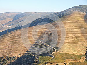 Douro river wine region vineyards landscape Portugal photo