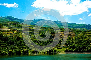 Douro River Vineyards Terraces, Mountains Landscape, Coastline