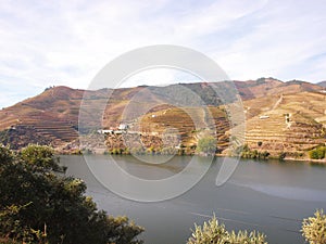 Douro river wine region vineyards landscape photo