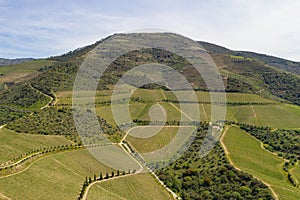 Douro river wine valley region drone aerial view, Portugal