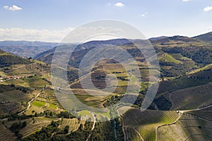 Douro river wine valley region drone aerial view, Portugal