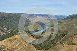 Douro river wine valley region in Portugal