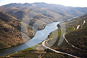 Douro Valley photo