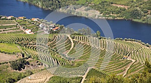 Douro Valley