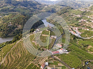 Douro Valley near MesÃ£o Frio