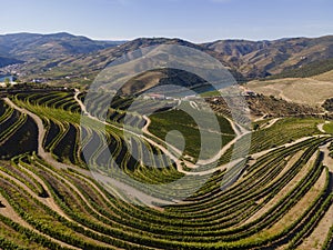 Douro Valley near PinhÃ£o