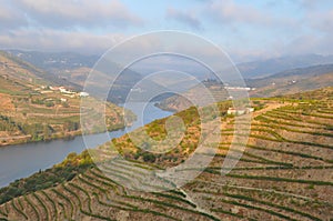 Douro valley port wine vineyards Portugal