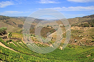 Douro Valley - Portugal