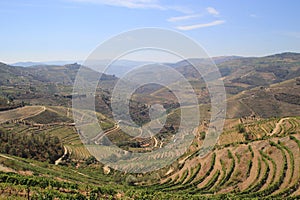 Douro Valley - Portugal