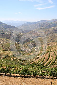 Douro Valley - Portugal