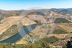 Douro Valley, Portugal. Top view of river, and the vineyards are on a hills