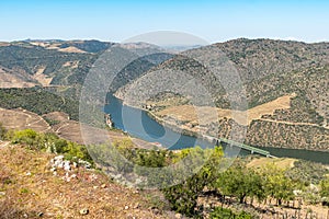 Douro Valley, Portugal. Top view of river, and the vineyards are on a hills