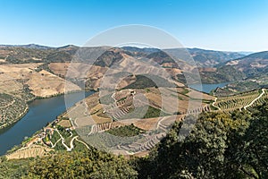 Douro Valley, Portugal. Top view of river, and the vineyards are on a hills