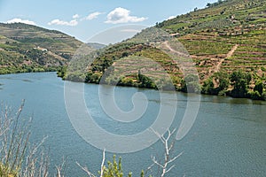 Douro Valley, Portugal. Top view of river, and the vineyards are on a hills