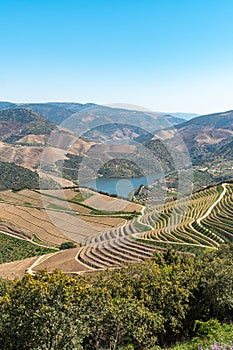 Douro Valley, Portugal. Top view of river, and the vineyards are on a hills