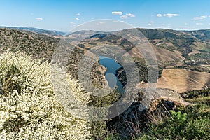 Douro Valley, Portugal. Top view of river, and the vineyards are on a hills