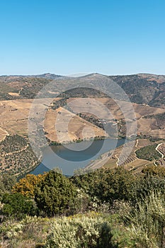 Douro Valley, Portugal. Top view of river, and the vineyards are on a hills