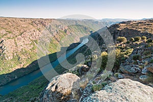 Douro Valley, Portugal. Top view of river, and the vineyards are on a hills. Summer day in terraced vineyards. Concept for travel