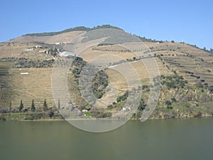 Douro Valley Portugal wineries