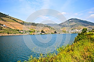 Douro Valley: Riverside and vineyards near Peso da Regua, Portugal