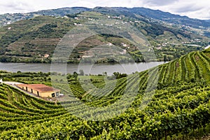 Douro Valley, Régua