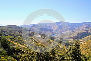Douro Valley Vineyards and Douro river in Vila Nova de Foz Coa