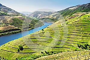 Douro Valley. Vineyards and landscape near Pinhao town, Portugal