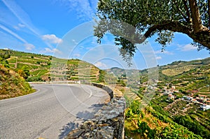 Douro Valley: Vineyards and small village near Peso da Regua, Portugal