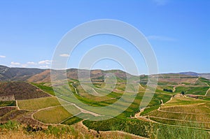 Douro Valley Vineyards, in Vila Nova de Foz Coa