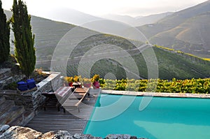 Douro valley winelands pool Portugal photo