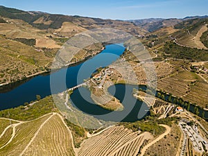 Douro wine valley region, Portugal. Vineyards landscape tourist attraction and travel destination. Drone aerial top view of s shap