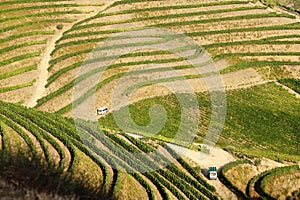 Dourovalley vineyards Portugal Unesco patrimony