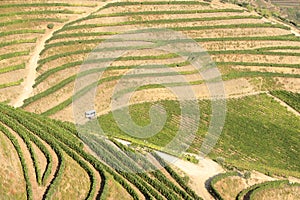 Dourovalley vineyards Portugal Unesco patrimony