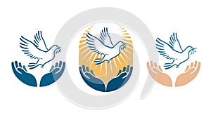 Dove bird carrying olive branch in beak as a peace symbol. Vector logo or icon